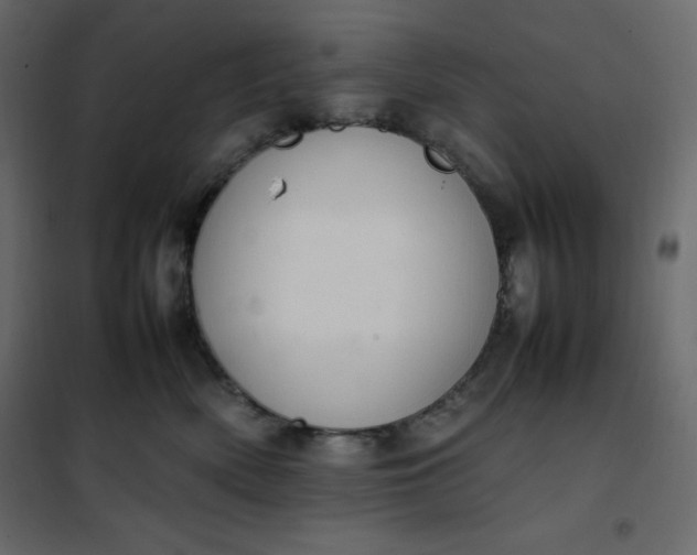 X0000102260522200808081404