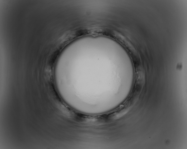 X0000102260523200808081404