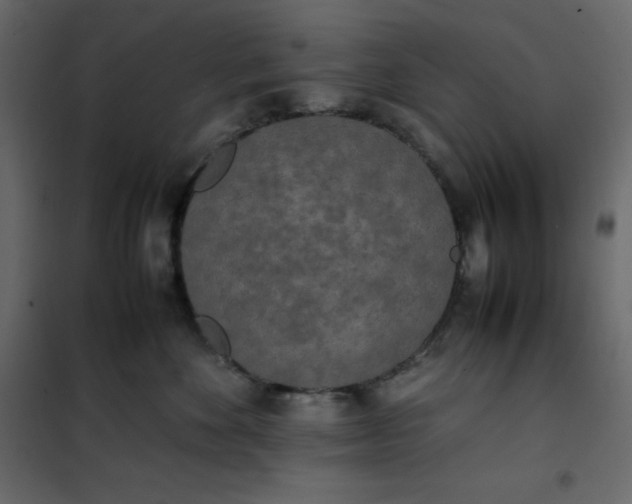 X0000102260524200808081404