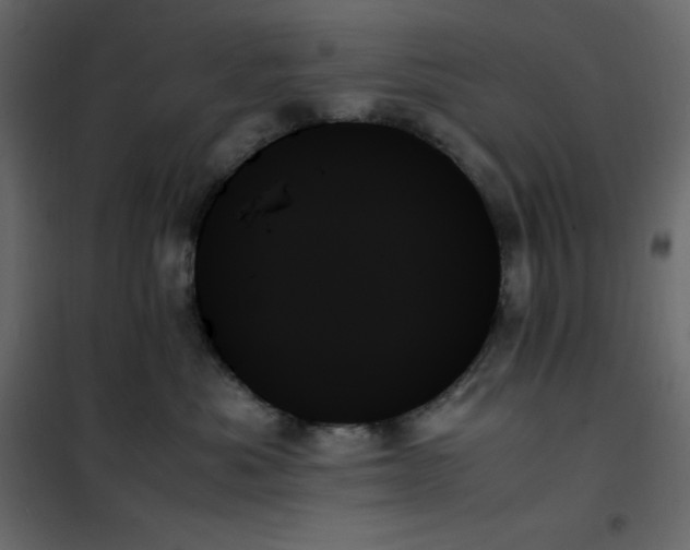 X0000102260525200808081404