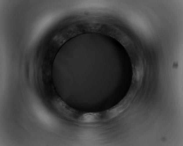 X0000102260526200808081403