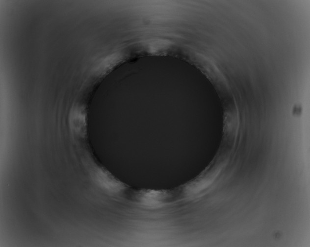 X0000102260527200808081403