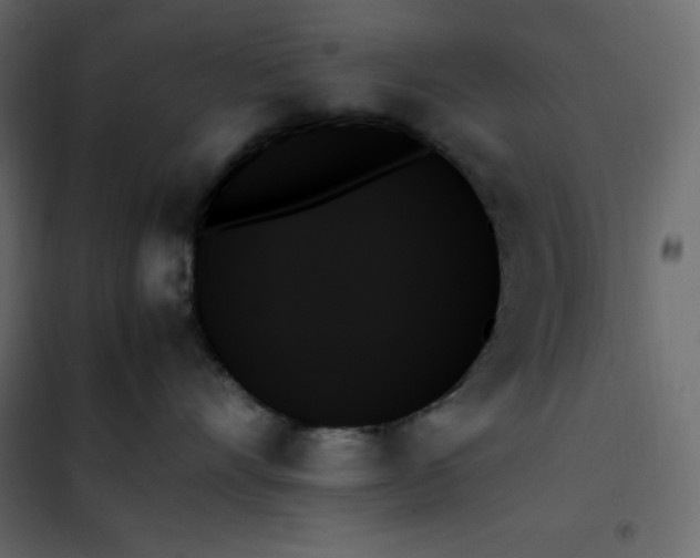 X0000102260528200808081403