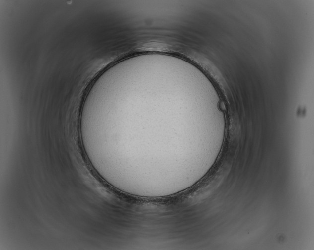 X0000102260529200808081403