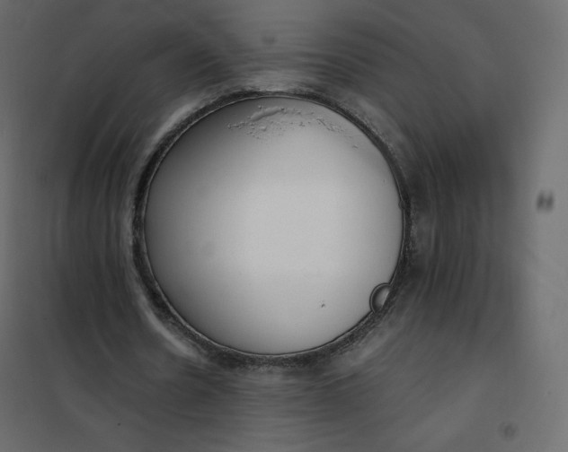 X0000102260530200808081403