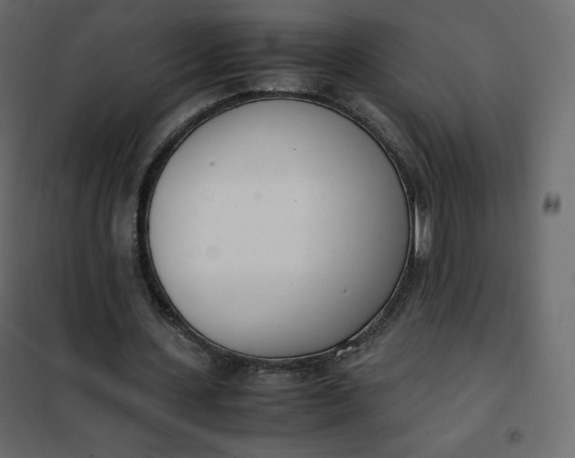 X0000102260531200808081403