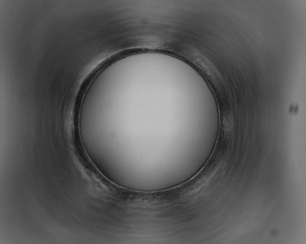 X0000102260532200808081403