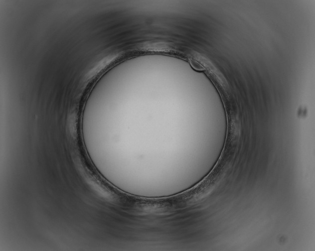 X0000102260533200808081403