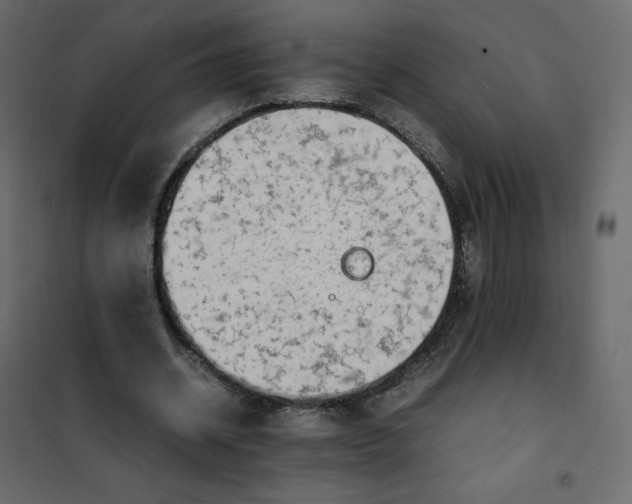 X0000102260534200808081403