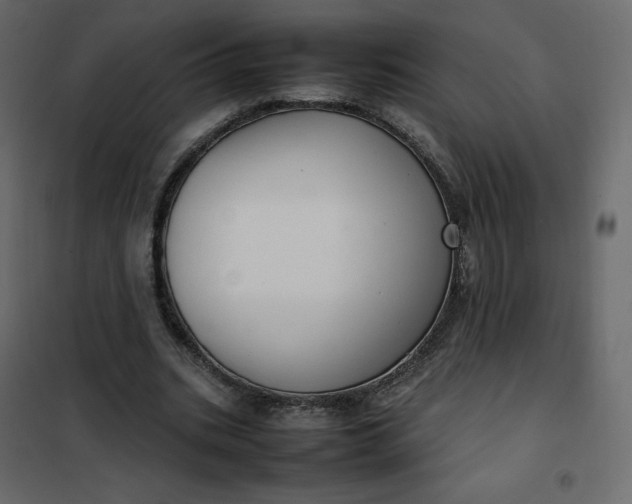 X0000102260535200808081403