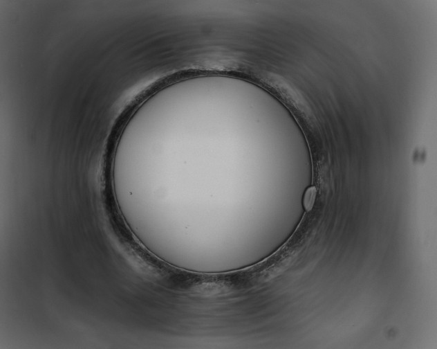 X0000102260536200808081403