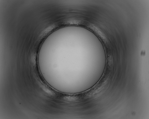 X0000102260537200808081403