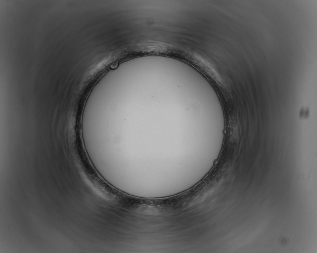 X0000102260538200808081403