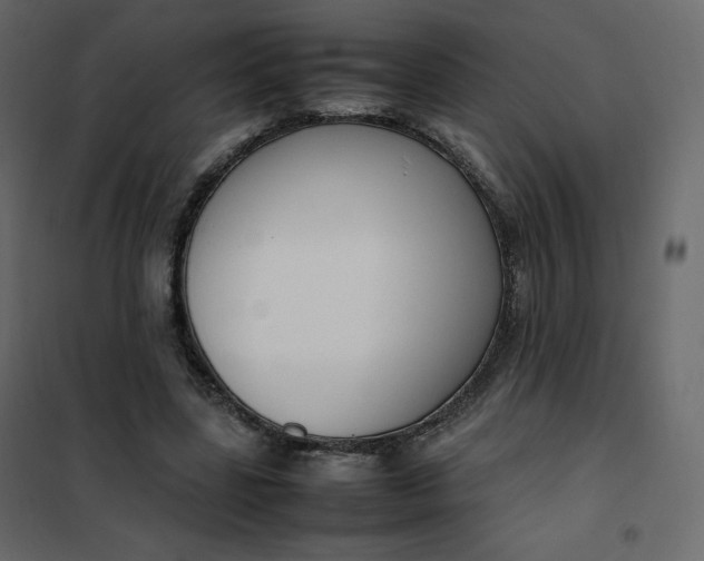 X0000102260539200808081403