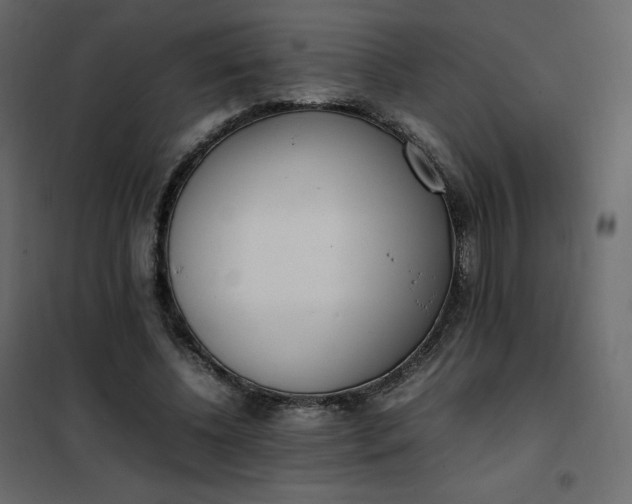 X0000102260540200808081403