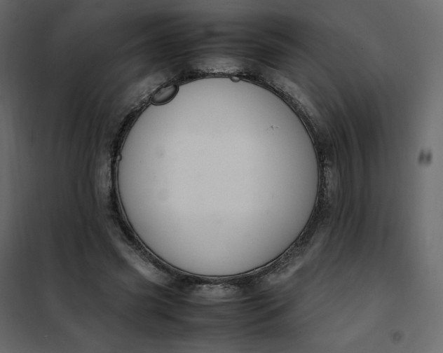 X0000102260541200808081403