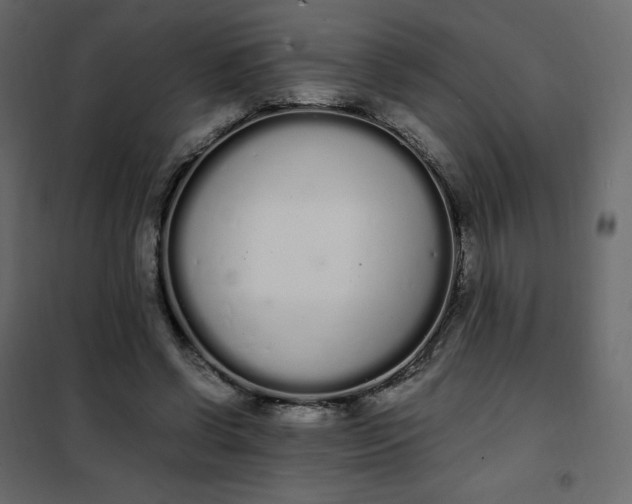 X0000102260542200808081403