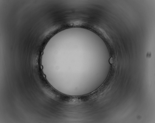 X0000102260543200808081403