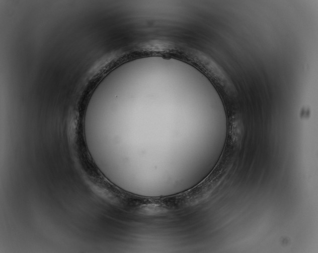 X0000102260544200808081403