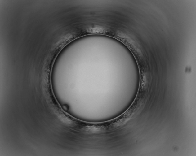 X0000102260545200808081403