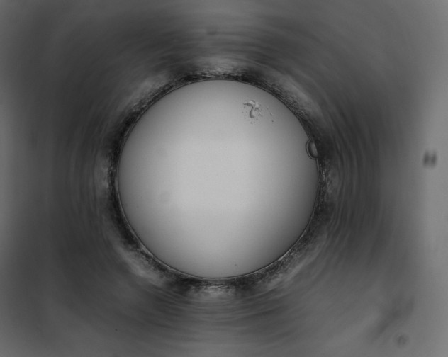 X0000102260546200808081403