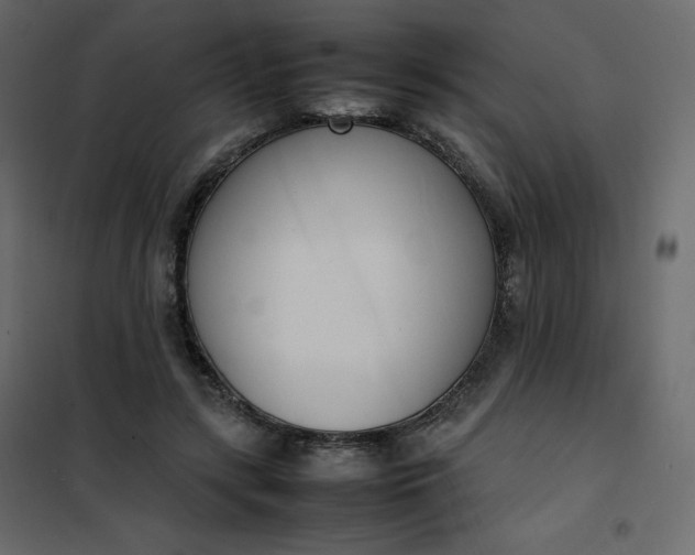 X0000102260547200808081403