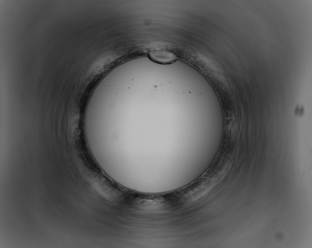 X0000102260548200808081403