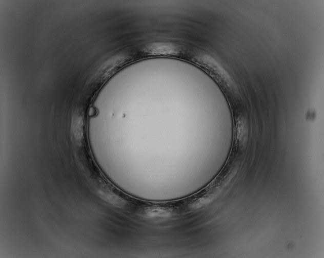 X0000102260549200808081403