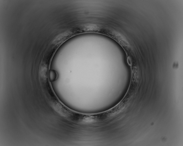 X0000102260550200808081403