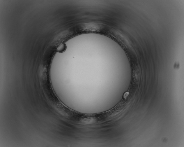 X0000102260551200808081403