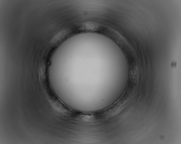 X0000102260552200808081403