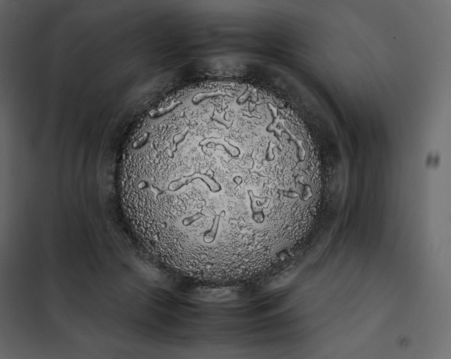 X0000102260553200808081403