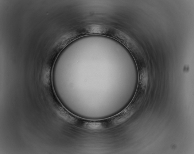 X0000102260554200808081403