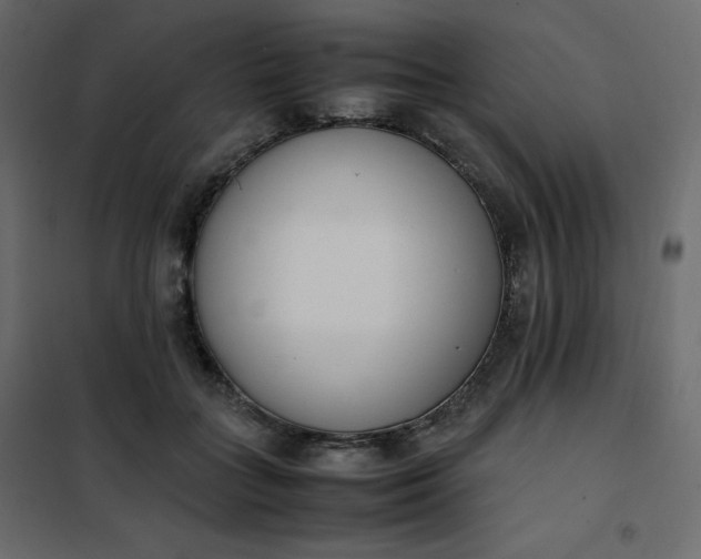 X0000102260555200808081403