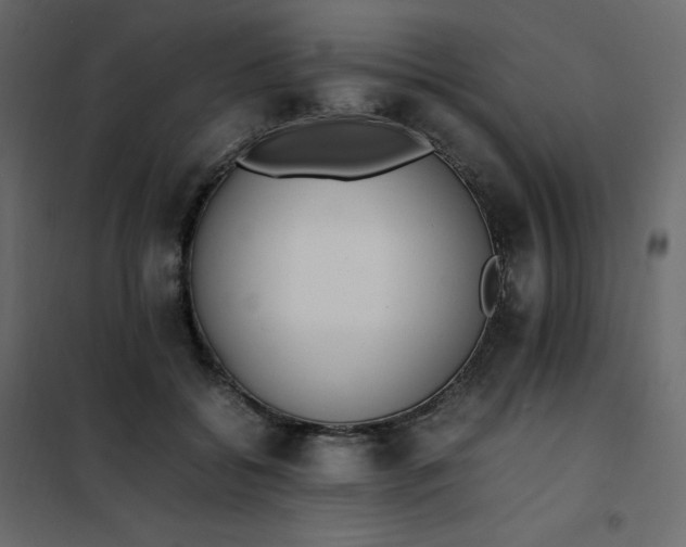 X0000102260556200808081403