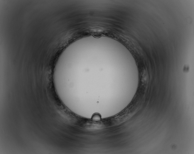 X0000102260559200808081403