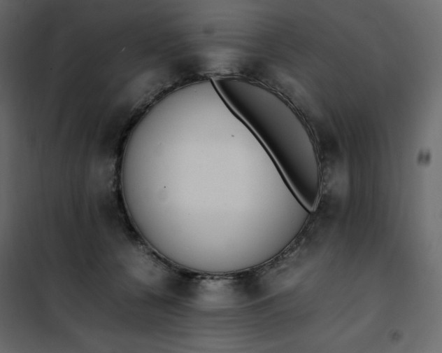 X0000102260560200808081403