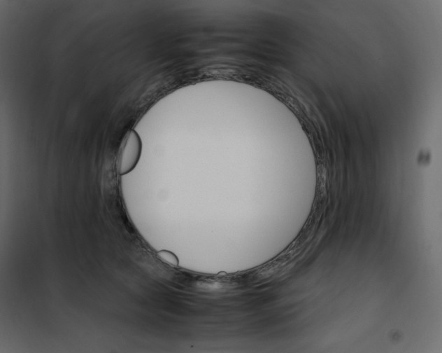 X0000102260561200808081403