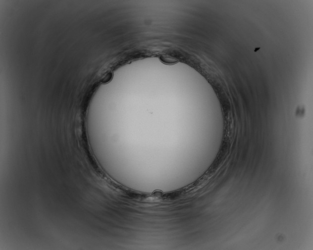 X0000102260562200808081403