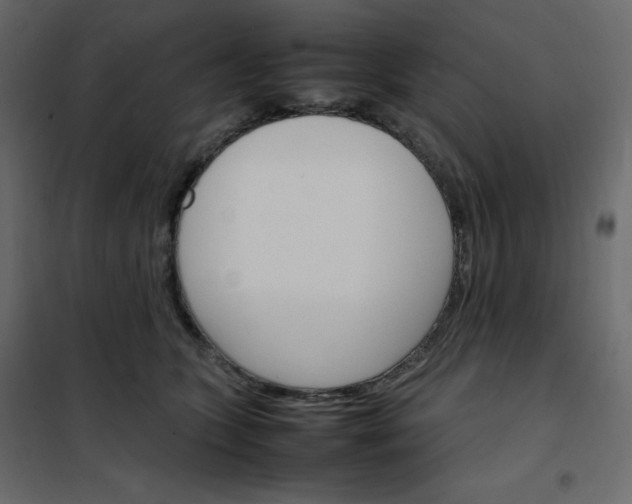 X0000102260563200808081403