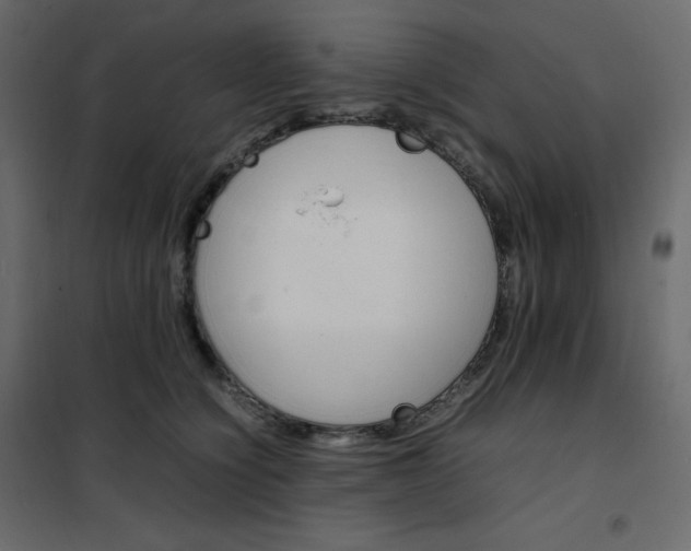 X0000102260564200808081403