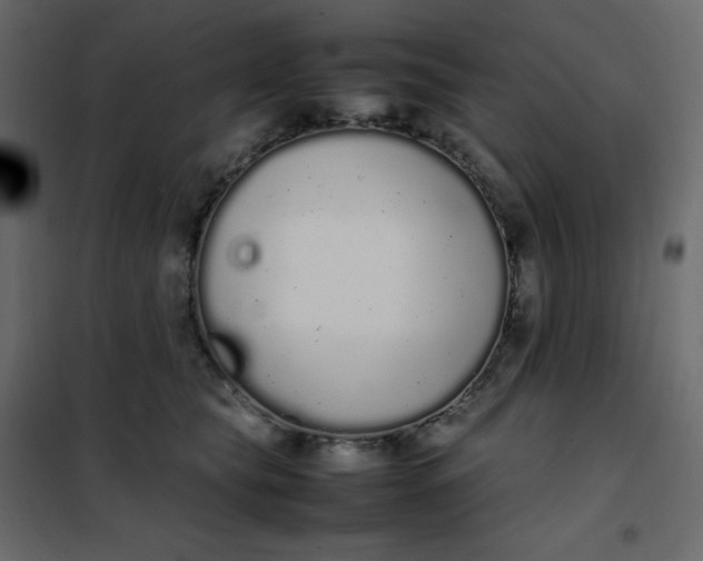 X0000102260565200808081403