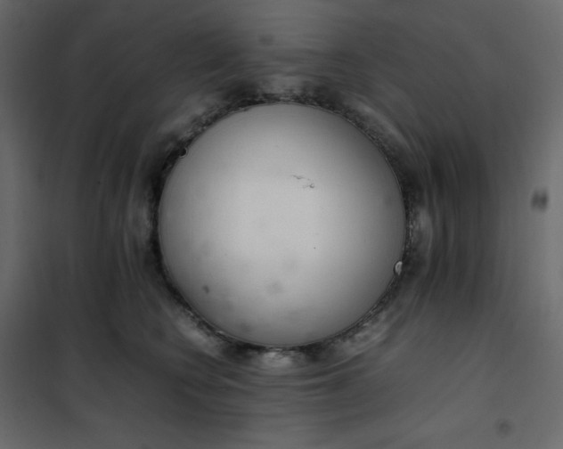 X0000102260566200808081403