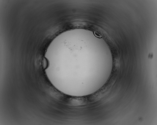 X0000102260567200808081403