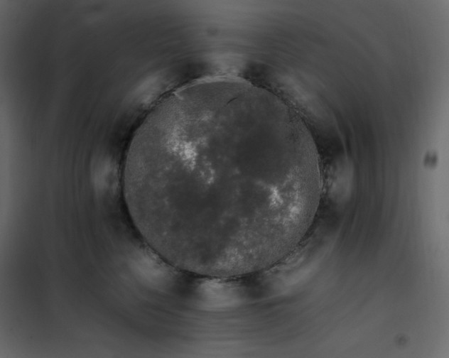 X0000102260568200808081403