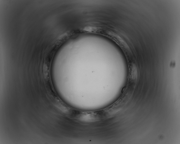 X0000102260569200808081403