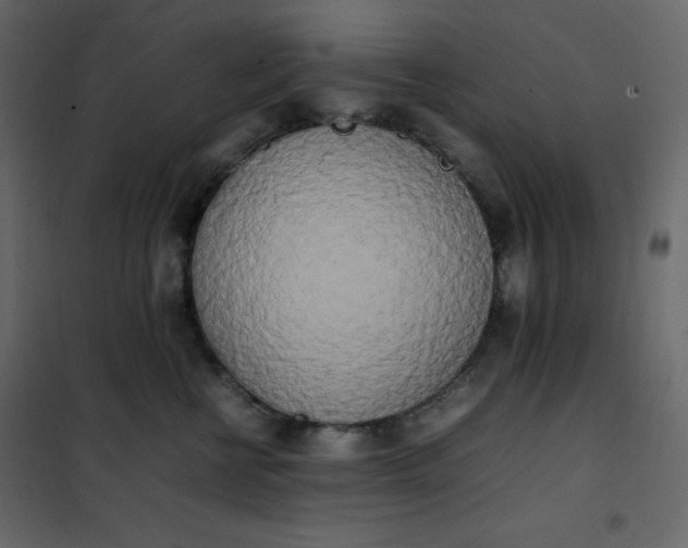 X0000102260570200808081403