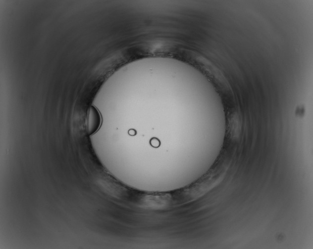 X0000102260571200808081403