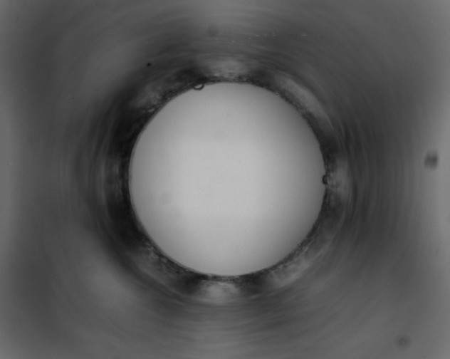 X0000102260572200808081403