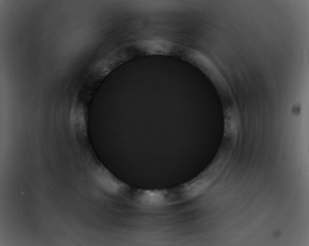 X0000102260573200808081403